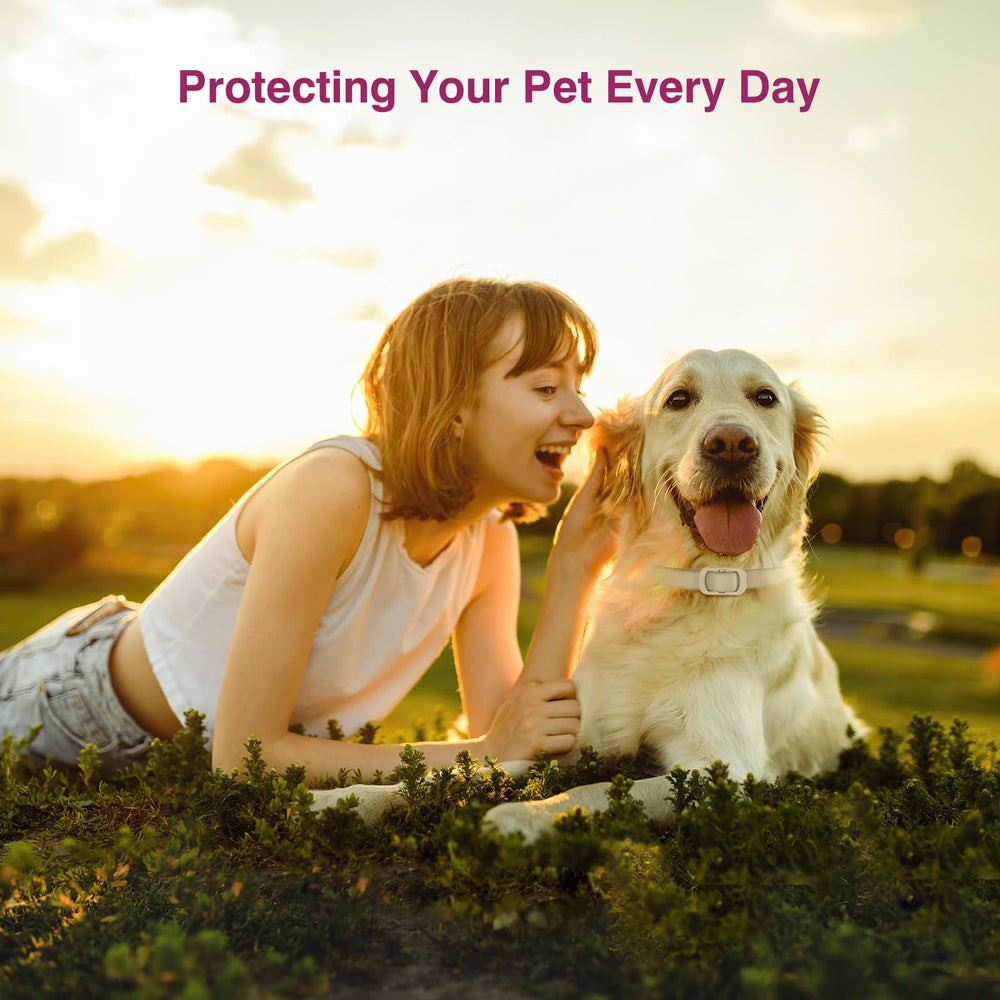Collier Allyeah pour chien – protection durable de 8 mois