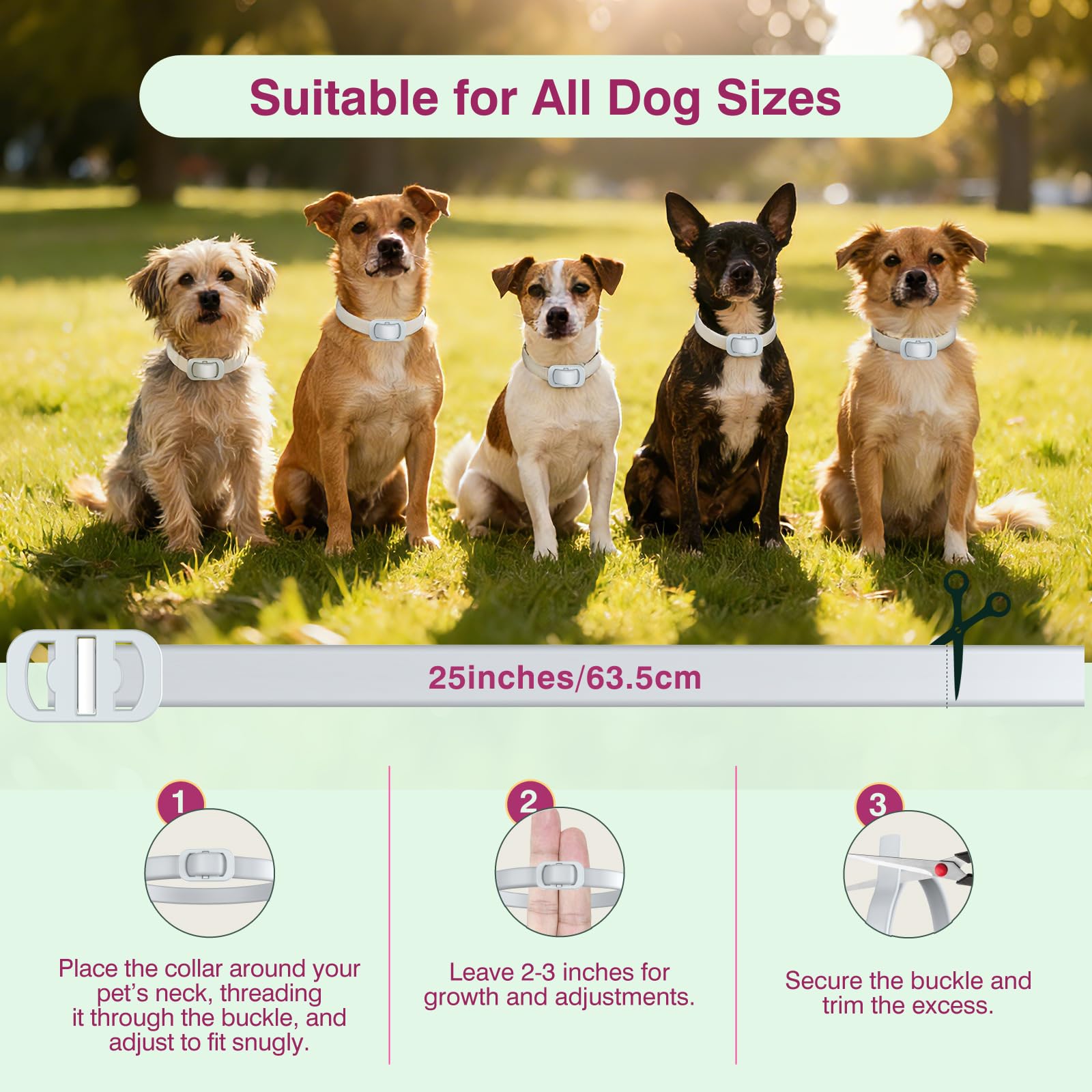 Collier Allyeah sûr pour chiots et chiens – 3 mois et plus