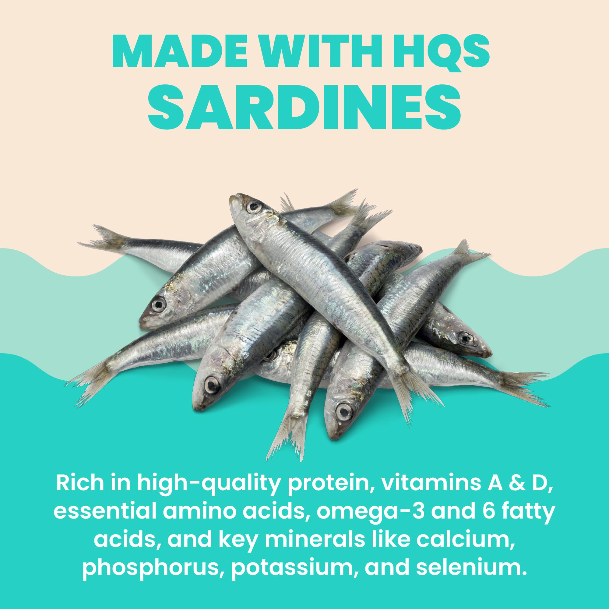 Sachet ouvert révélant sardines et bouillon pour une dégustation variée.