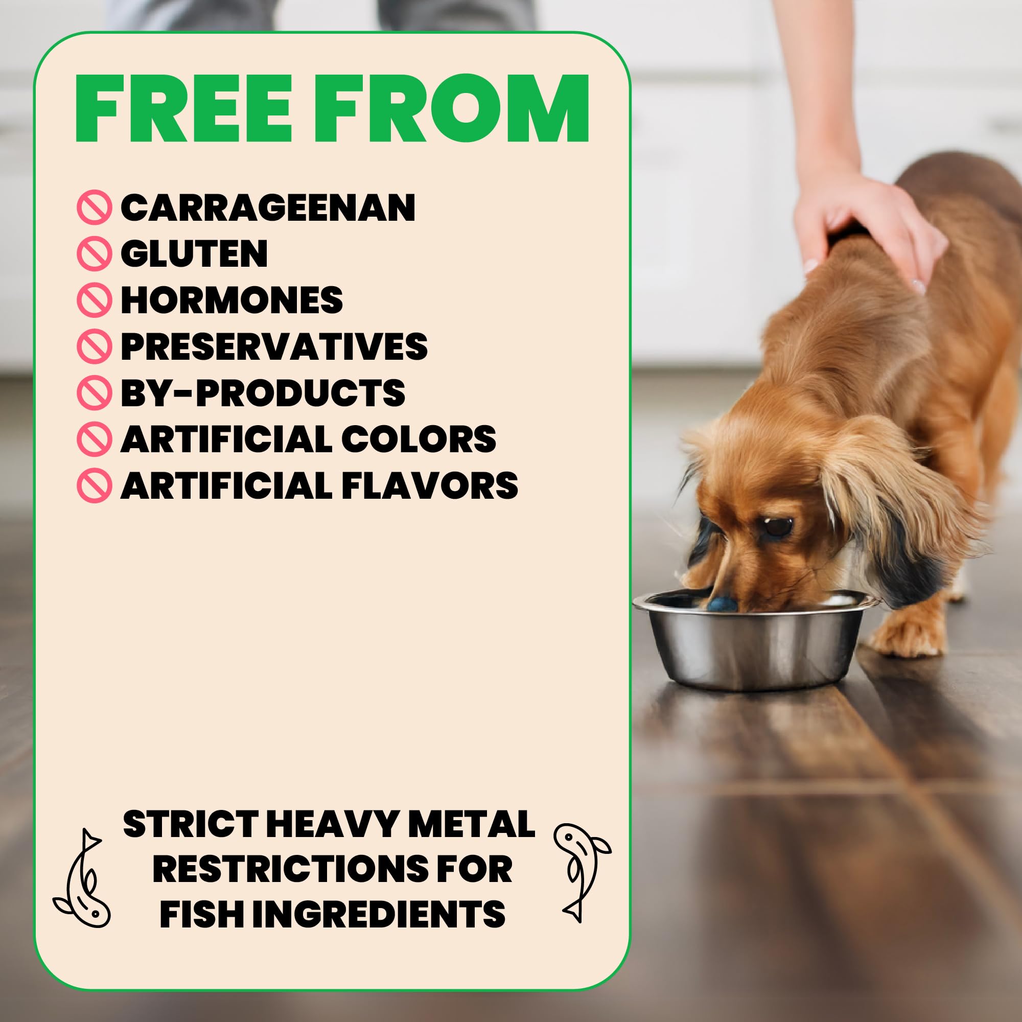 Almo Nature HQS Thon Morceaux Bouillon Pour Chien, facilité de service et repas compléments.