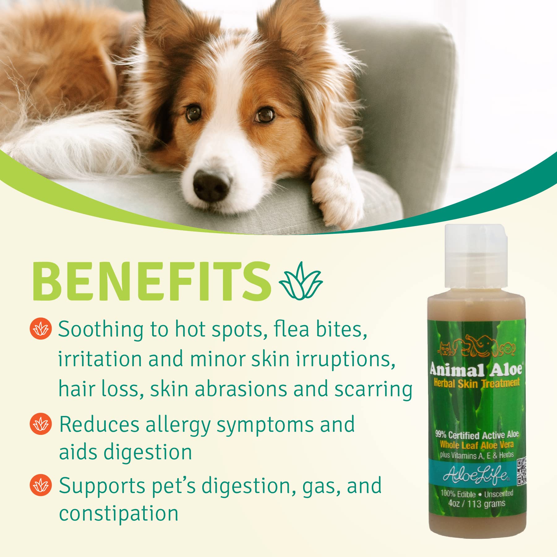 Aloe Life Animal Aloe : sûr à consommer si nécessaire pour les animaux.