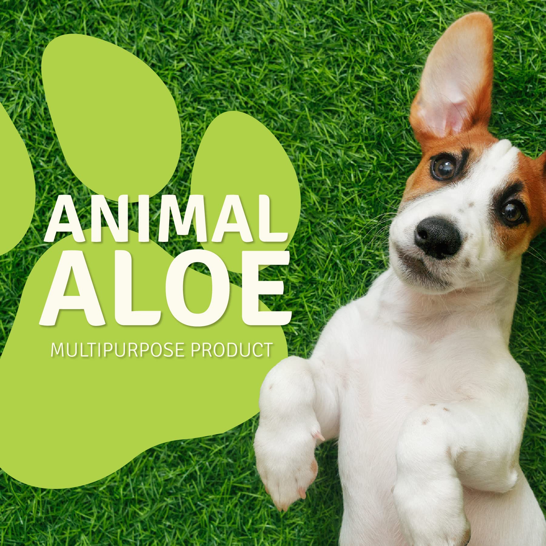 Aloe Life Animal Aloe : engagement envers la santé et le bien-être.