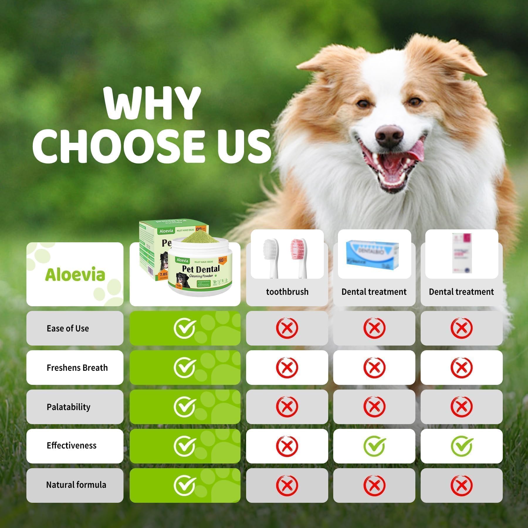 Aloevia Poudre Dentaire Chien formule enzymatique efficace
