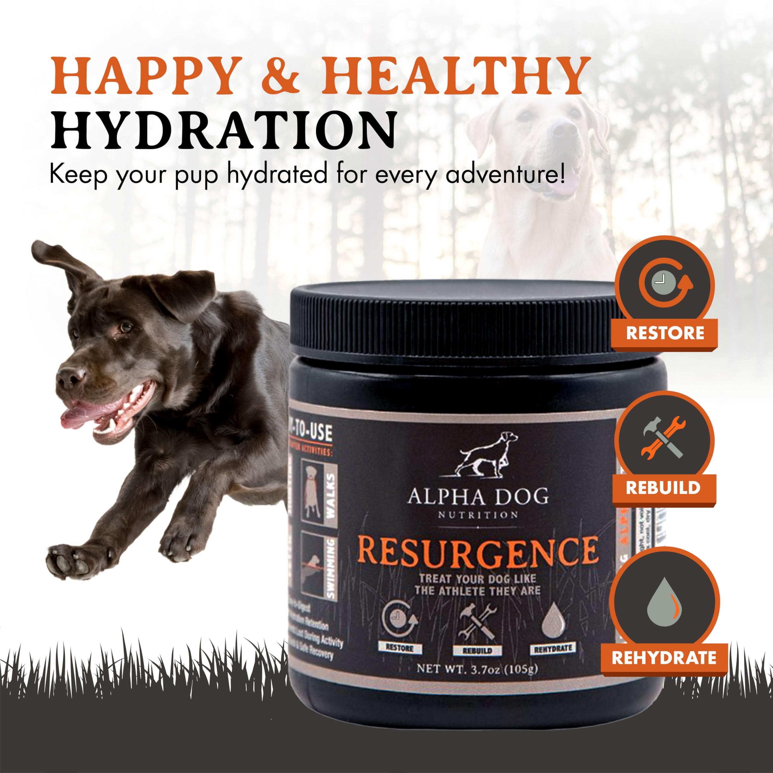 Alpha Dog Nutrition Électrolytes, doseuse-poudre facile pour doser et hydrater rapidement.