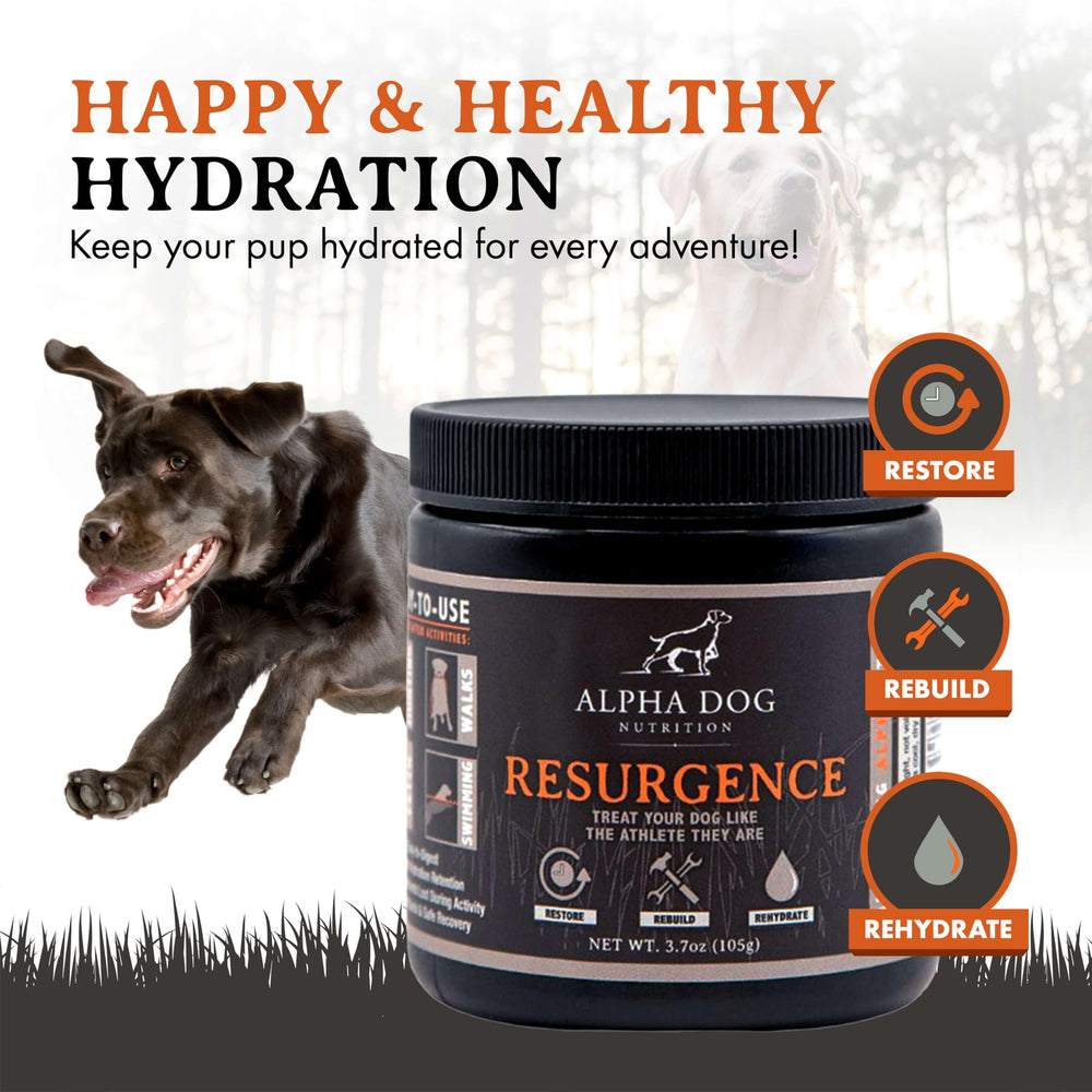 Alpha Dog Nutrition Électrolytes, doseuse-poudre facile pour doser et hydrater rapidement.