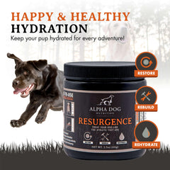 Alpha Dog Nutrition Électrolytes, doseuse-poudre facile pour doser et hydrater rapidement.