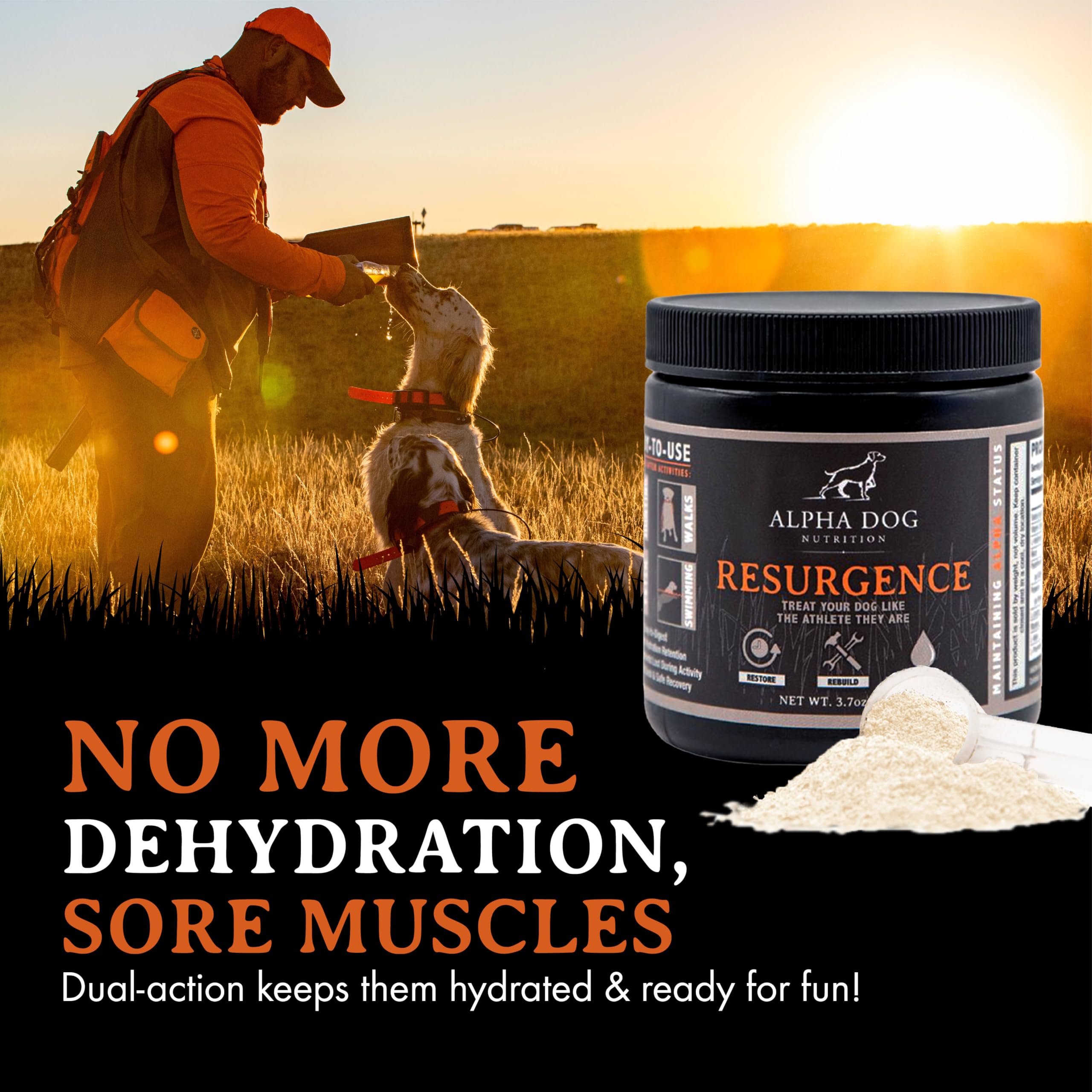 Alpha Dog Nutrition Électrolytes, qualité locale et garantie de satisfaction.