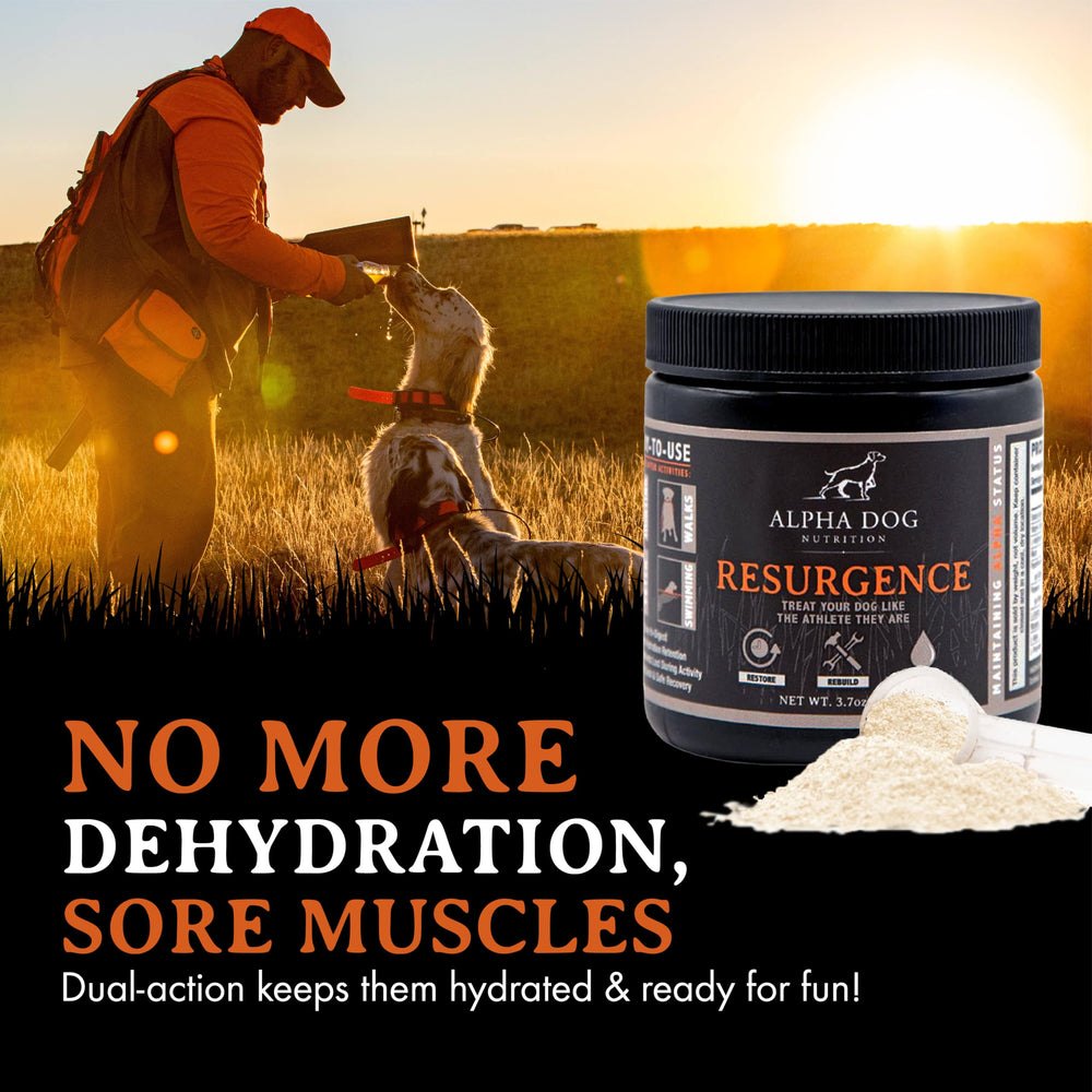 Alpha Dog Nutrition Électrolytes, qualité locale et garantie de satisfaction.
