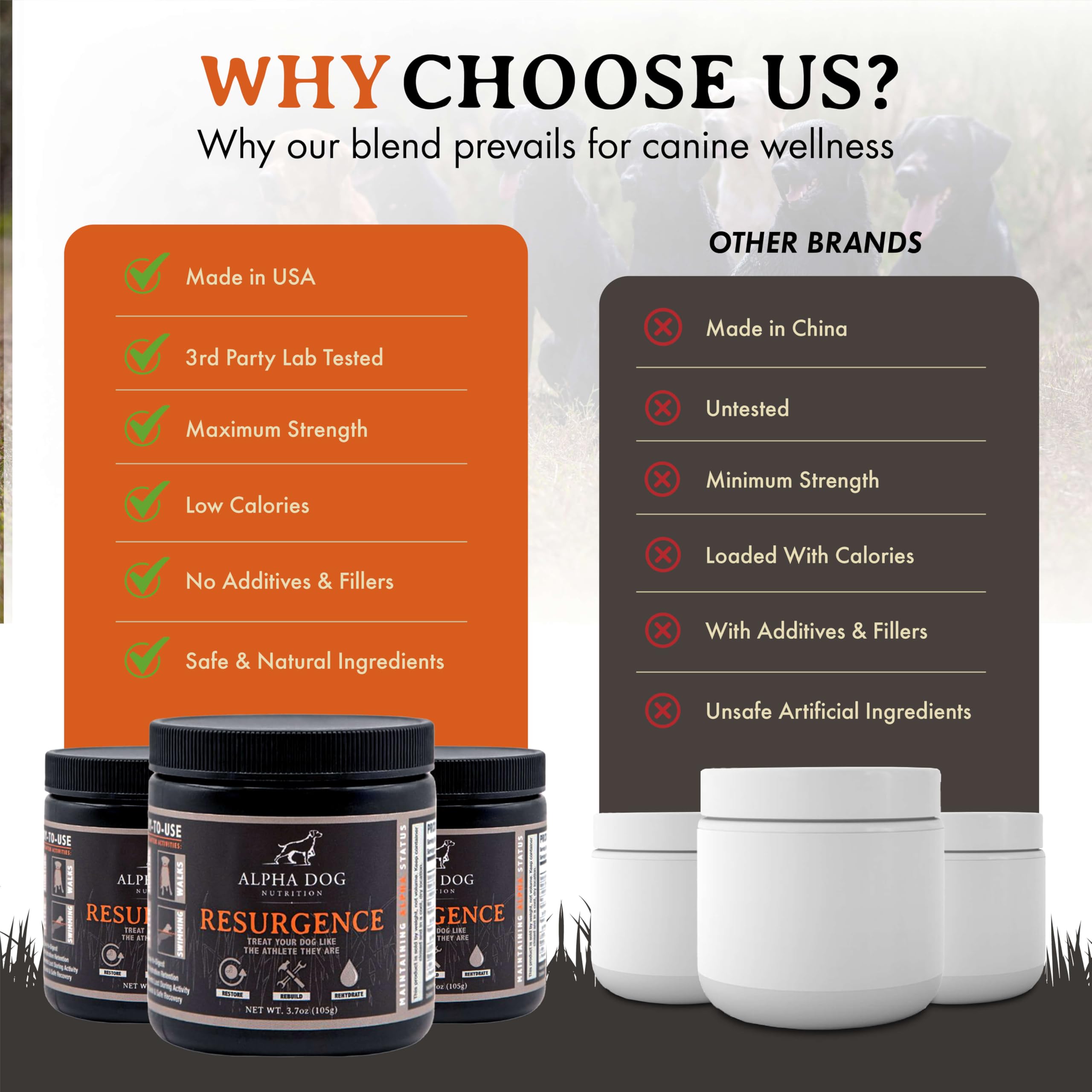 Alpha Dog Nutrition Électrolytes saupoudrables sur nourriture pour hydratation aisée.