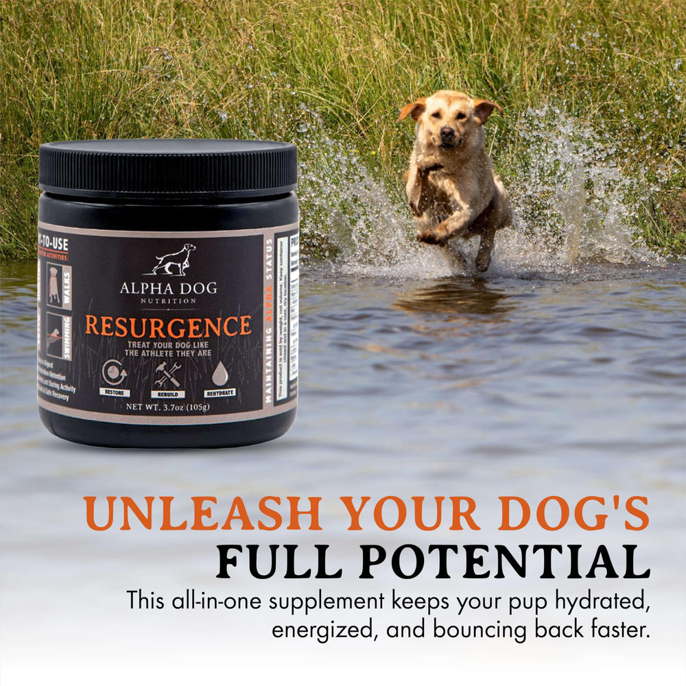 Alpha Dog Nutrition Électrolytes idéal en plein air pour rétablissement après l'effort.