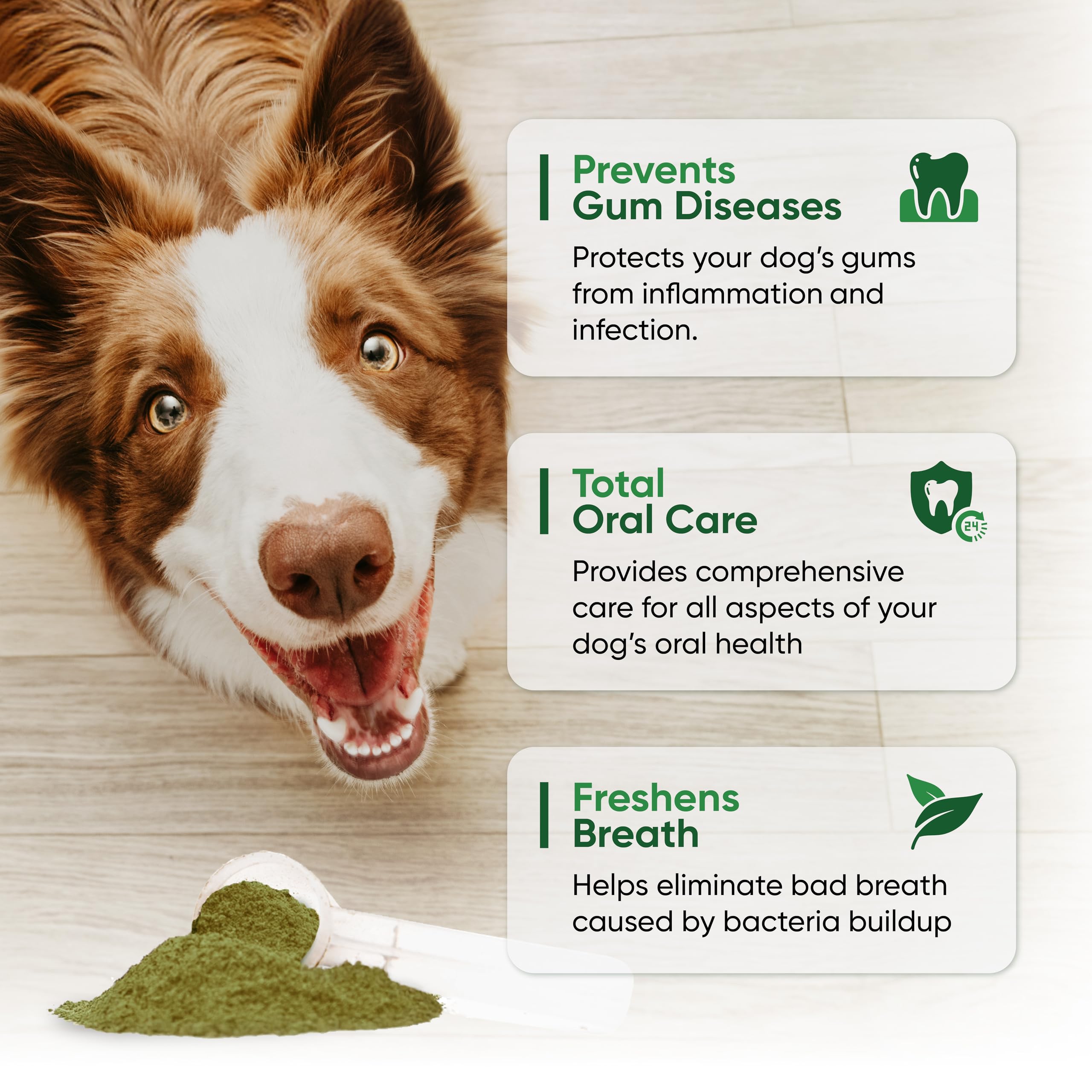 Chien utilisant Alpha Dog Nutrition, poudre dentaire pour haleine fraîche après repas.