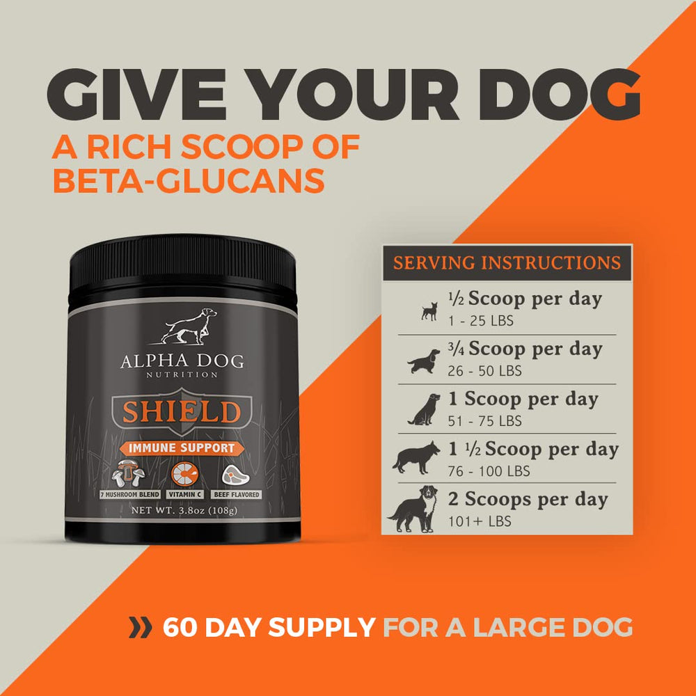 Alpha Dog Nutrition Shield - chien actif utilisant le complément alimentaire