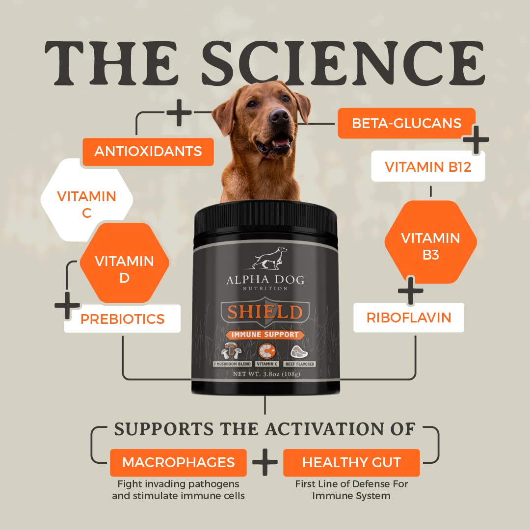 Alpha Dog Nutrition Shield - poudre de champignons, soutien potentiel pour l'immunité canine