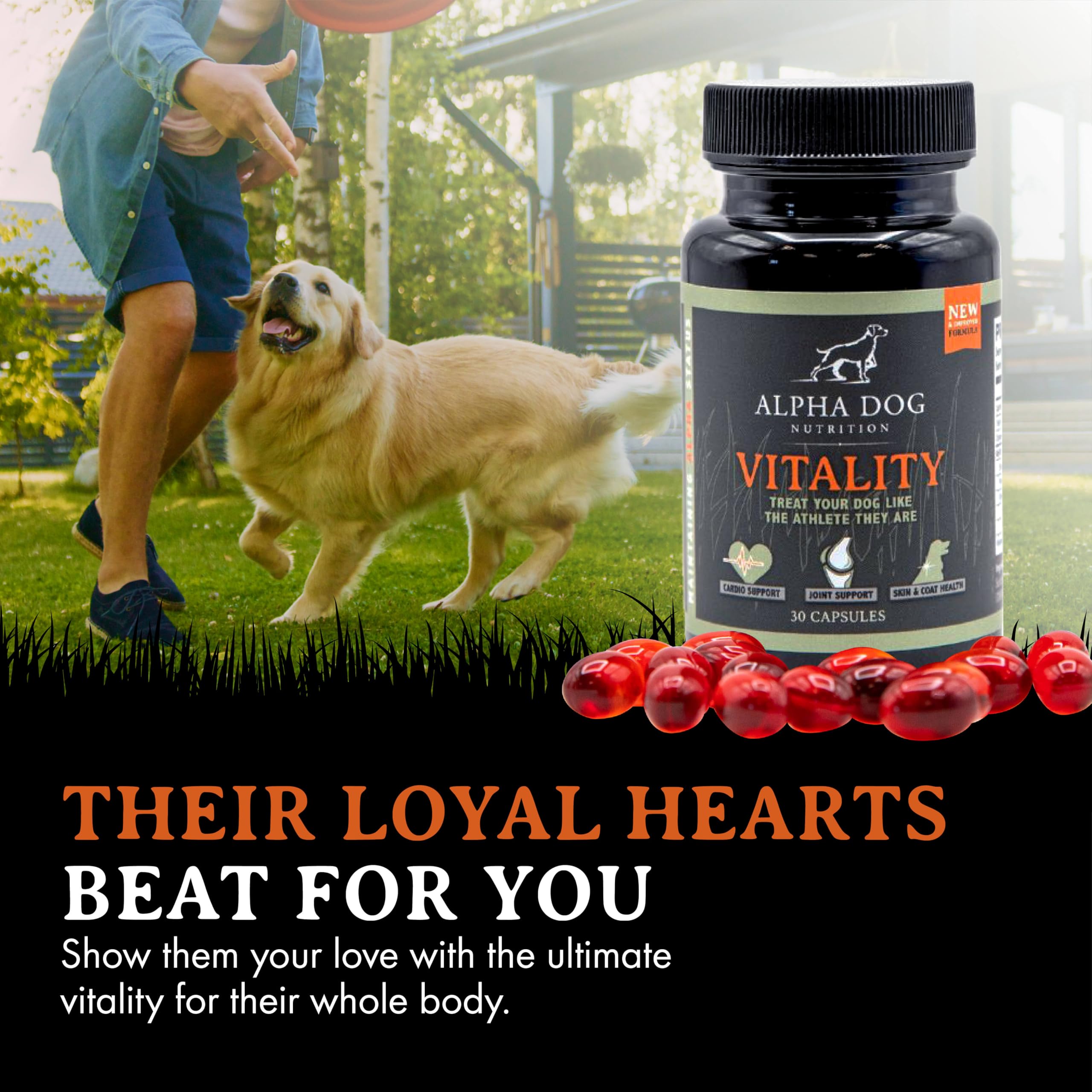 Krill antarctique sauvage pour Vitality, source naturelle et pure
