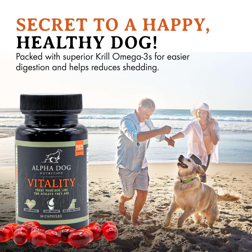 Chien au pelage sain et brillant grâce à Vitality d'Alpha Dog Nutrition