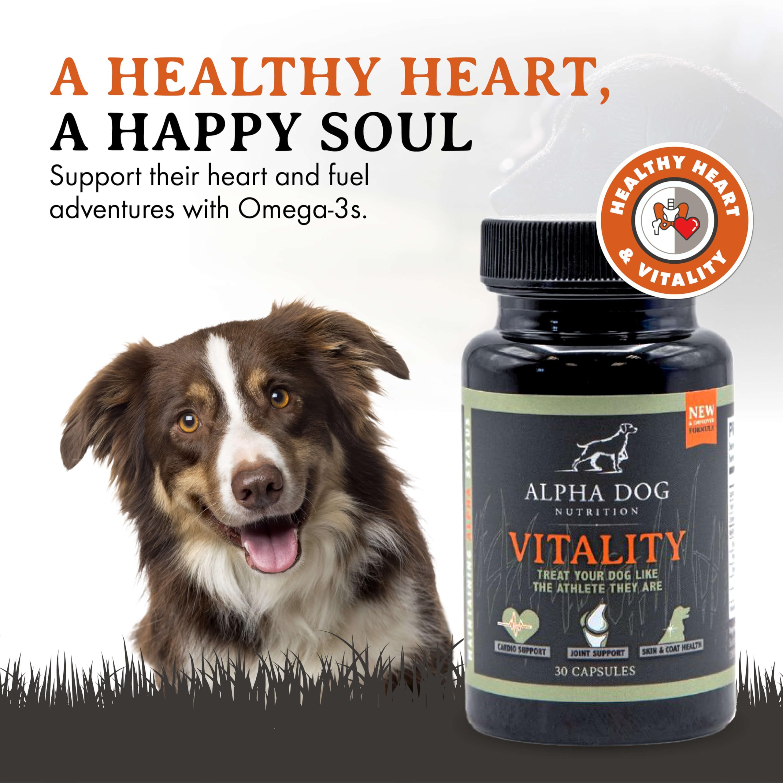 Vitality Alpha Dog Nutrition – capsules souples pour chien, soutien des articulations