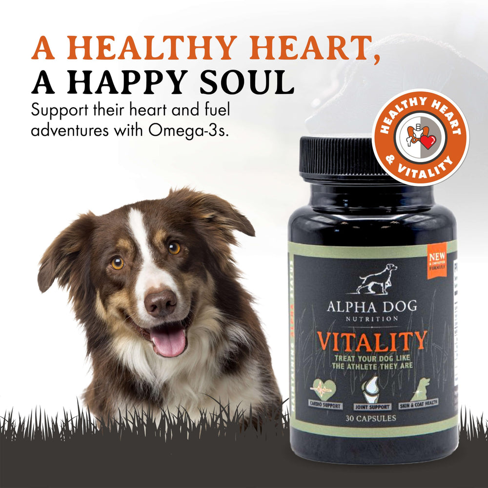 Vitality Alpha Dog Nutrition – capsules souples pour chien, soutien des articulations