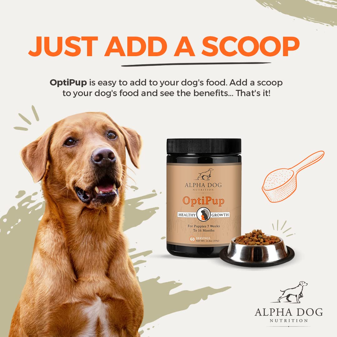 Étiquette OptiPup affiche les 31 super-aliments pour énergie et vitalité.