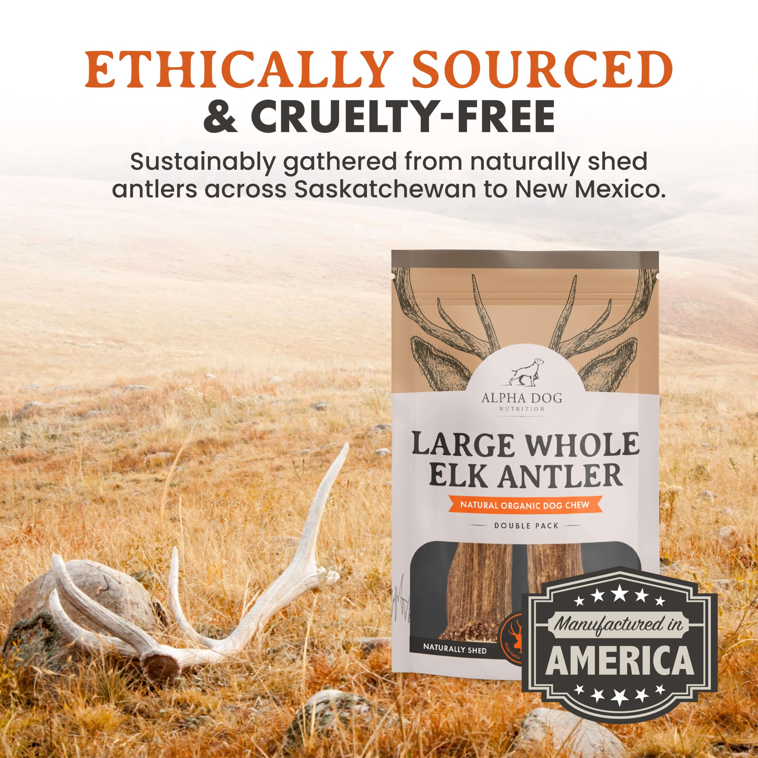Alpha Dog Nutrition os de wapiti grand entier – calcium et minéraux naturels