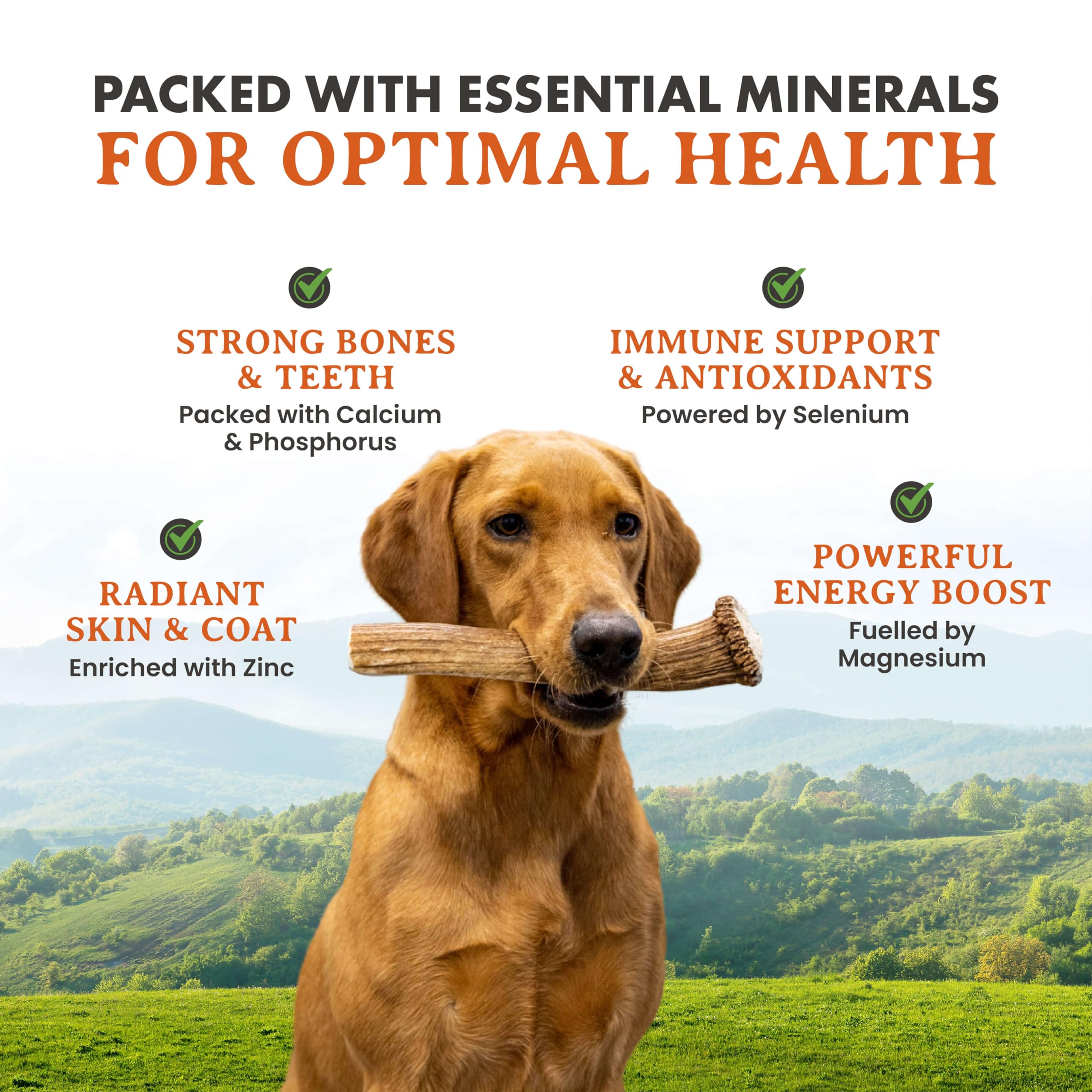 Alpha Dog Nutrition os de wapiti grand entier – sans odeur pour usage propre à domicile