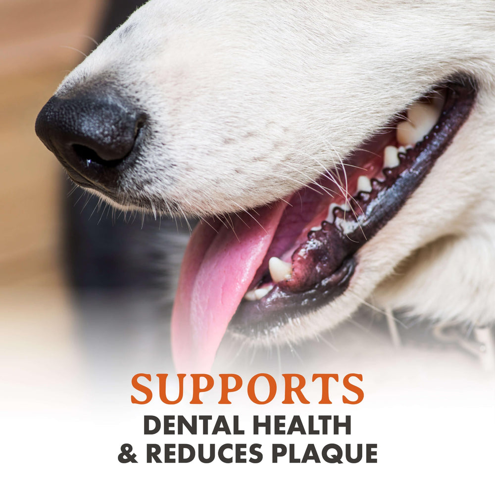 Alpha Dog Nutrition os de wapiti grand entier – tailles adaptées pour tous les chiens