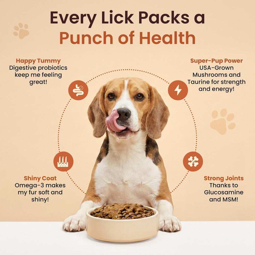 Altira Everyday Dog Gravy avec microalgues, pour énergie et bien-être digestif.