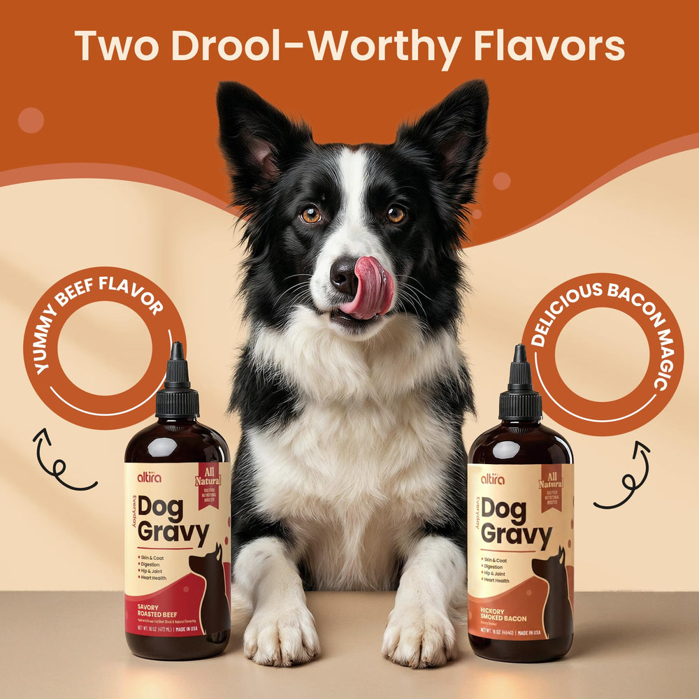 Altira Gravy taurine: soutien potentiel cœur et énergie pour chiens actifs.