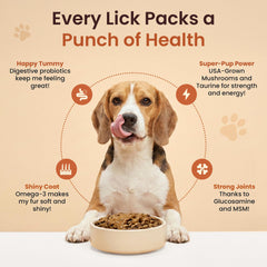 Altira Gravy texture-douce: nappe facile sur repas secs pour chiens exigeants.