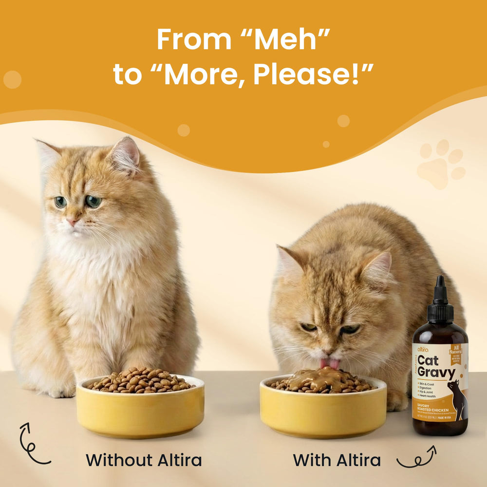 Altira Sauce Chat sans additifs artificiels