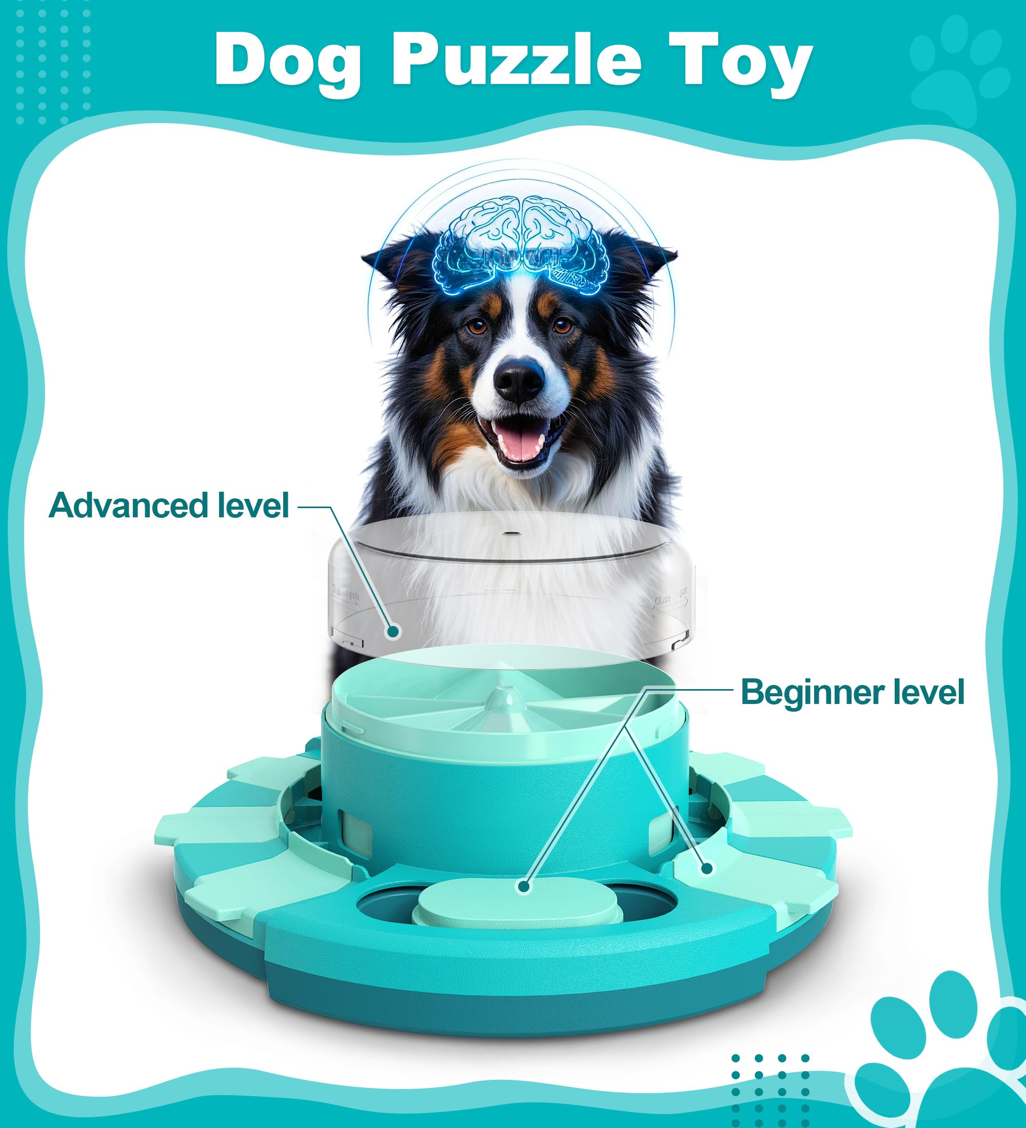 Aluckmao jouet puzzle chien niveau avancé stimule la résolution de problèmes.