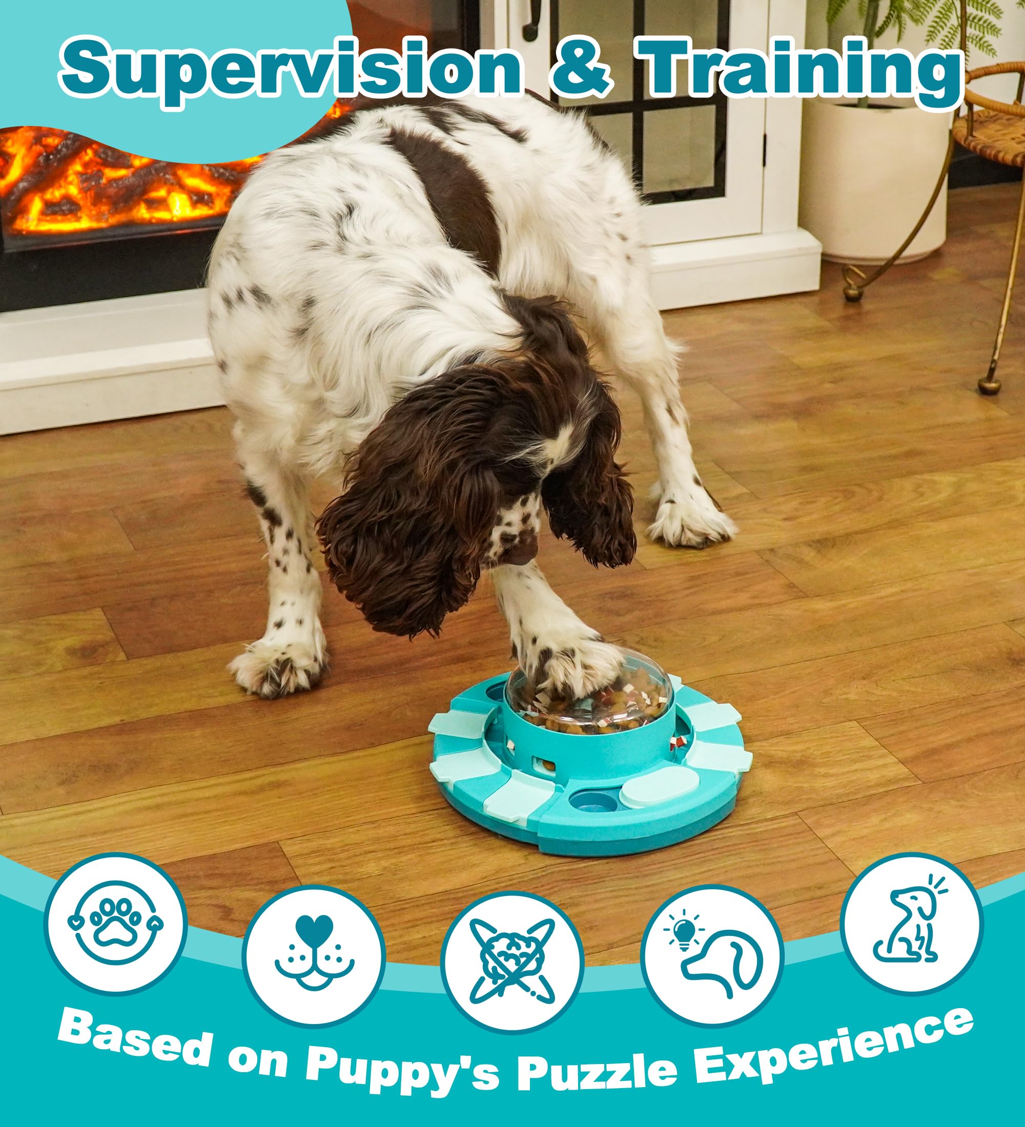 Aluckmao usage supervisé assure sécurité et apprentissage progressif du chien.