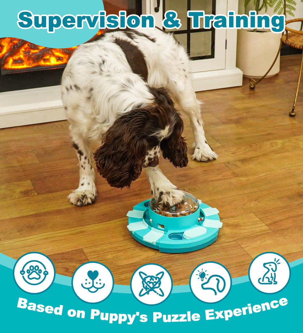 Aluckmao usage supervisé assure sécurité et apprentissage progressif du chien.