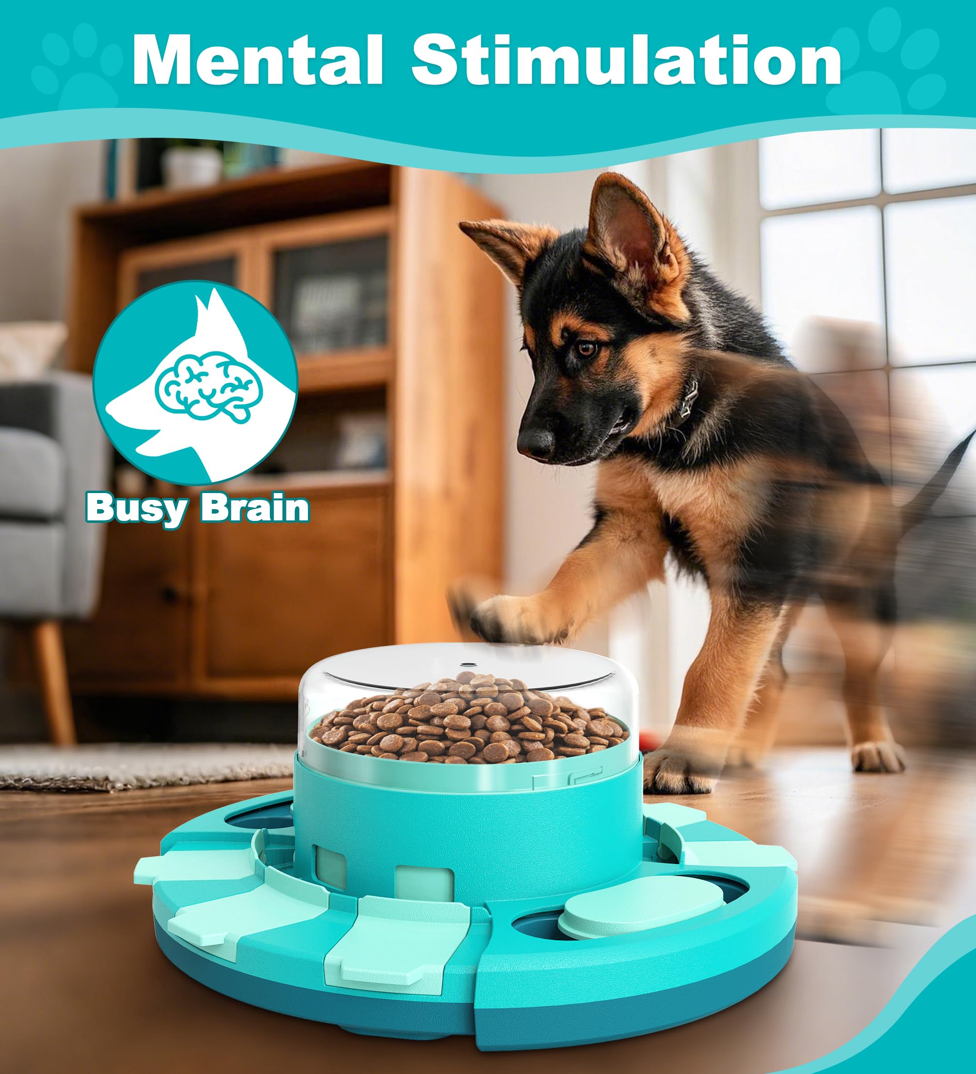 Aluckmao stimulation mentale chien grâce à ce jeu de réflexion interactif.