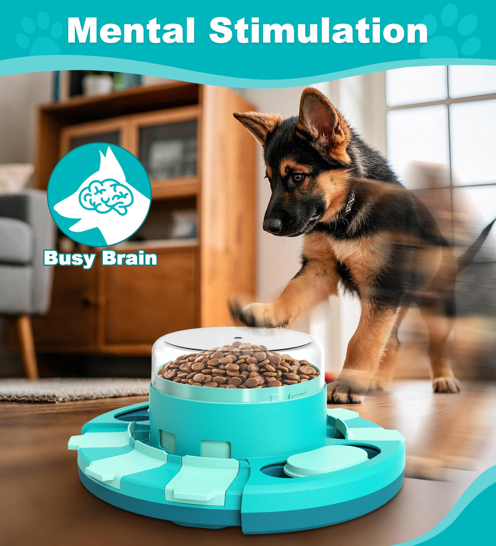 Aluckmao stimulation mentale chien grâce à ce jeu de réflexion interactif.