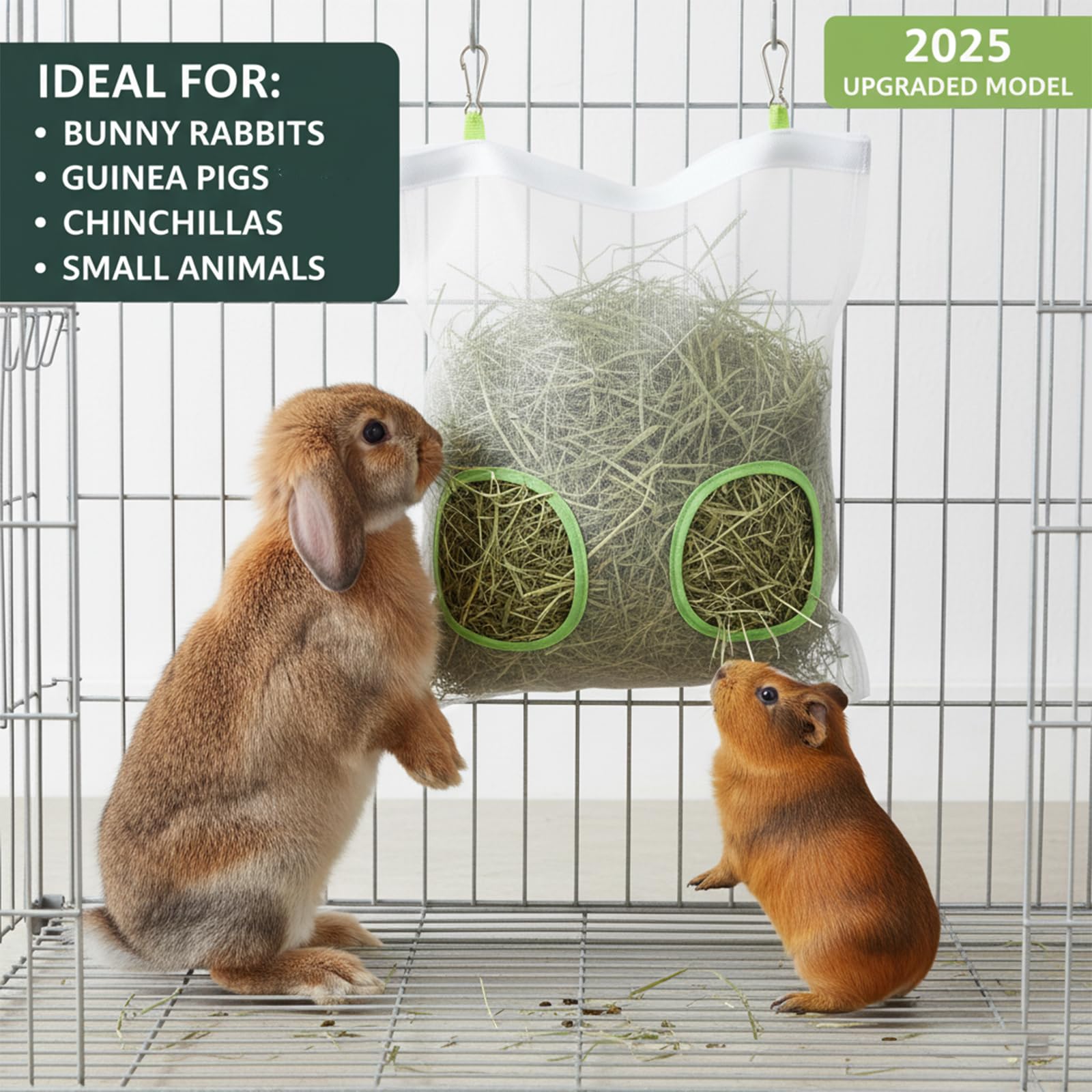AlustraVive modele-2025-design, version actualisée pour petits animaux.