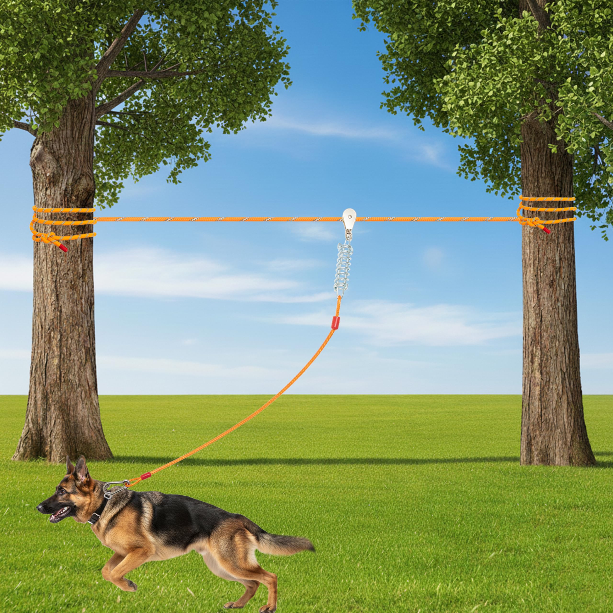 ALUZAEMO: installation simple entre arbres pour une zone de jeu sécurisée.
