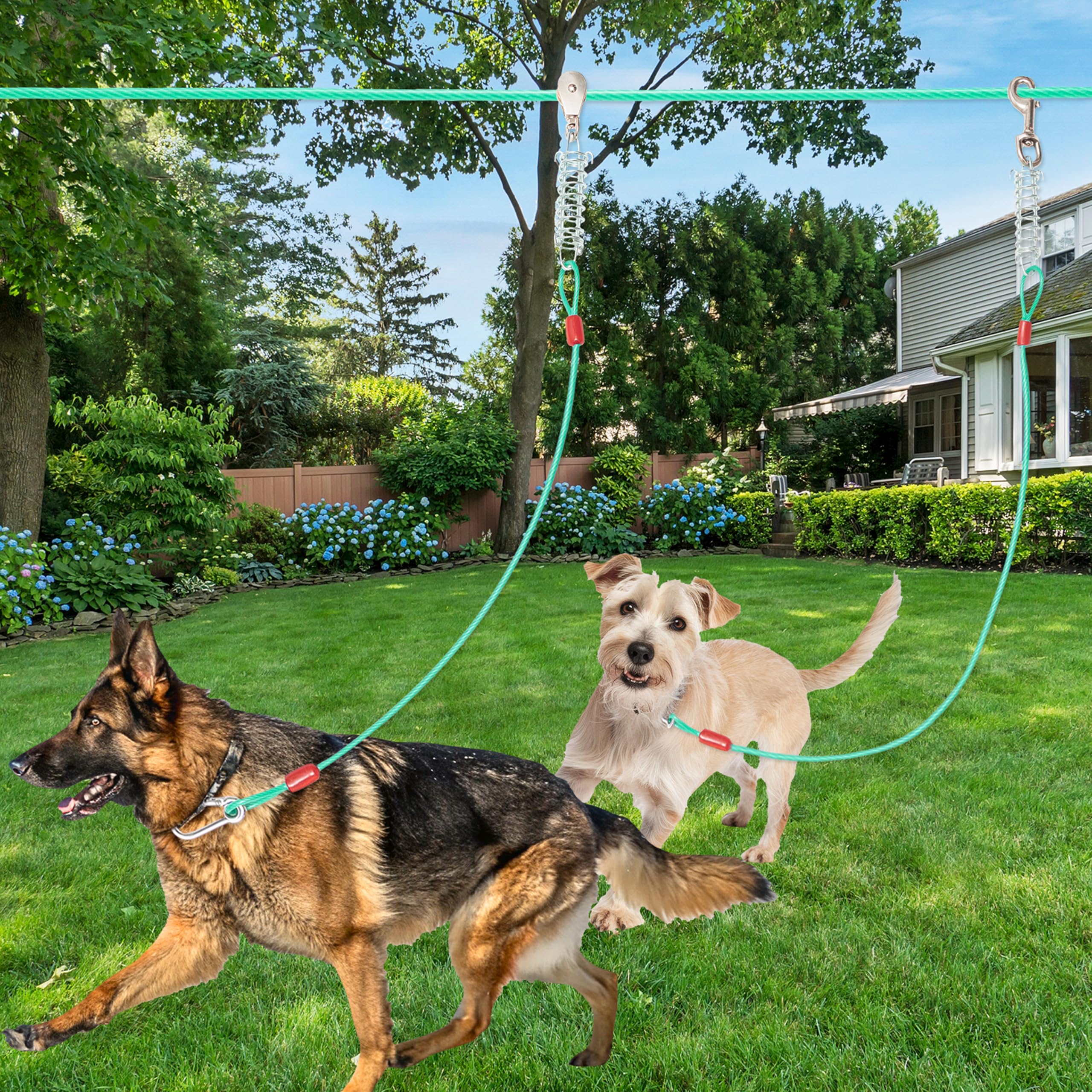 ALUZAEMO installation facile, montage rapide du câble pour chien