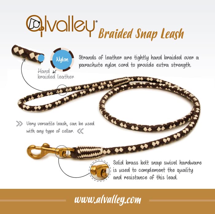 Laisse Alvalley de 123 cm, pratique pour chiens de taille moyenne à grande.