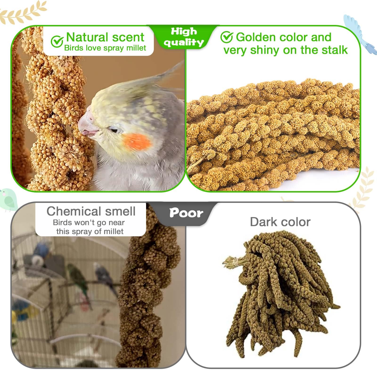 ALWZ-RDY millet, grains riches en protéines et minéraux pour oiseaux.