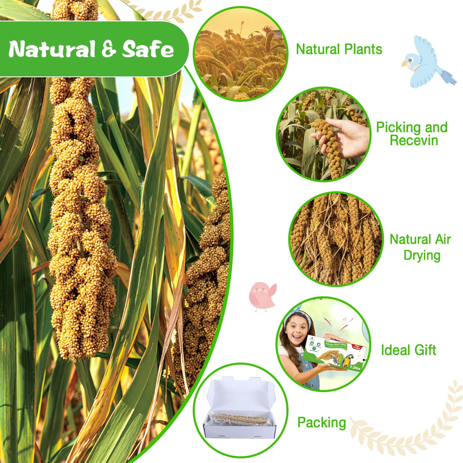 ALWZ-RDY millet brin portion controlee: dosage simple pour différentes especes