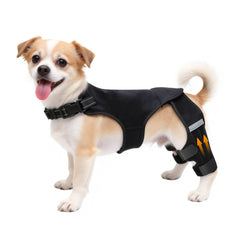 Attelle ALYBIT genou chien anti-glissement pour maintien sûr.