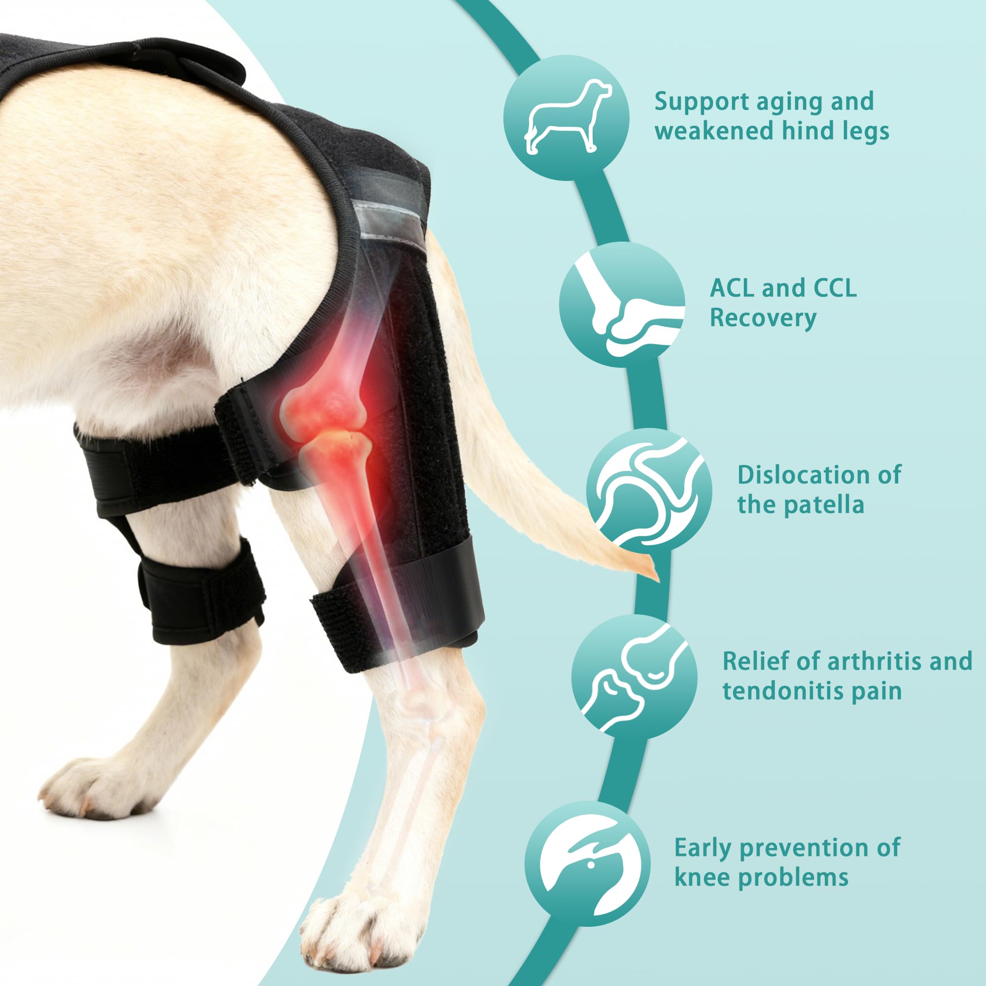 Attelle ALYBIT jambe chien ajustable avec velcro pour confort quotidien.