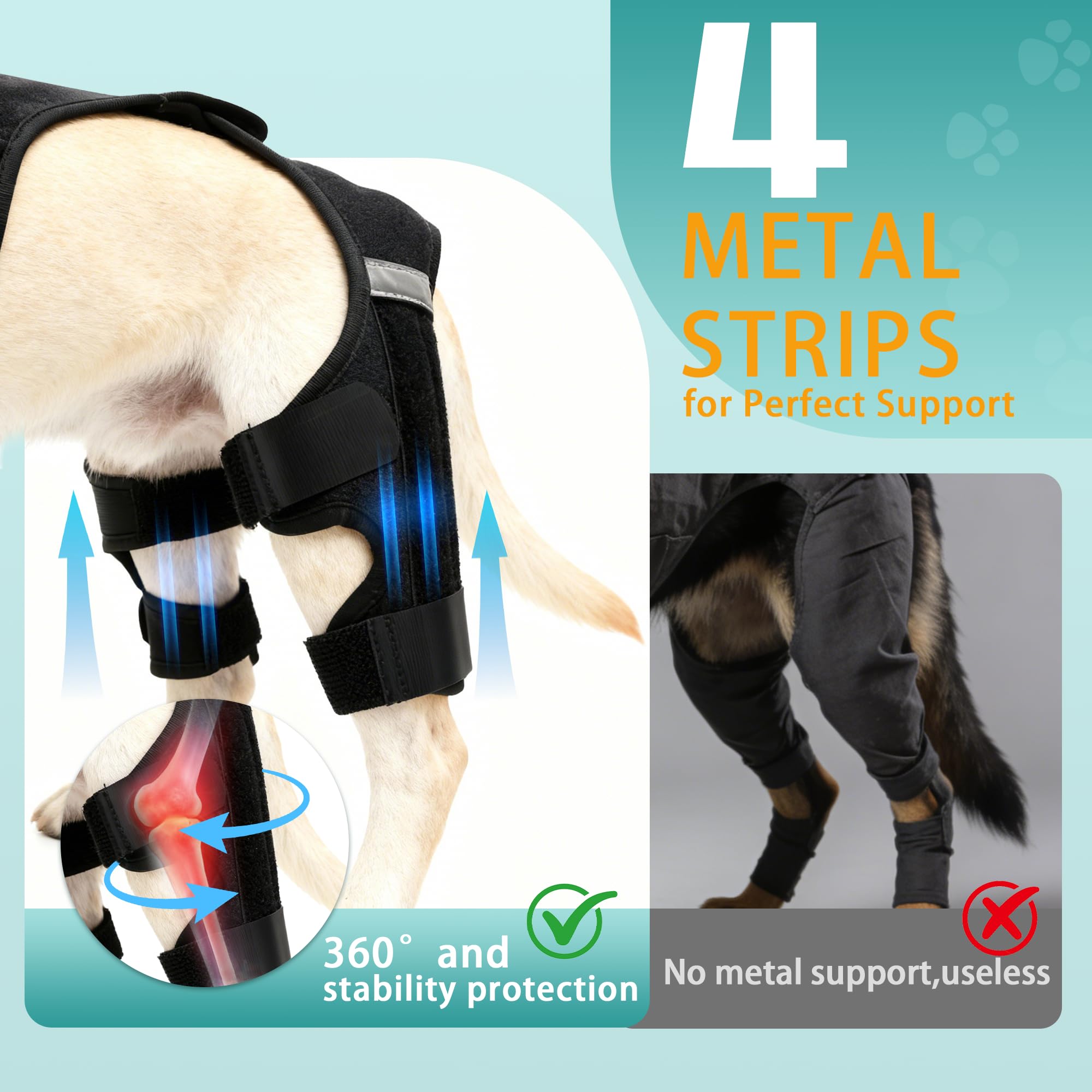 Quatre stabilisateurs ALYBIT pour genou chien apportent stabilité.