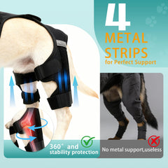 Quatre stabilisateurs ALYBIT pour genou chien apportent stabilité.