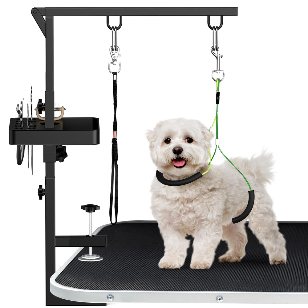Bras de toilettage Alytree 38 pouces pour chien, hauteur ajustable.