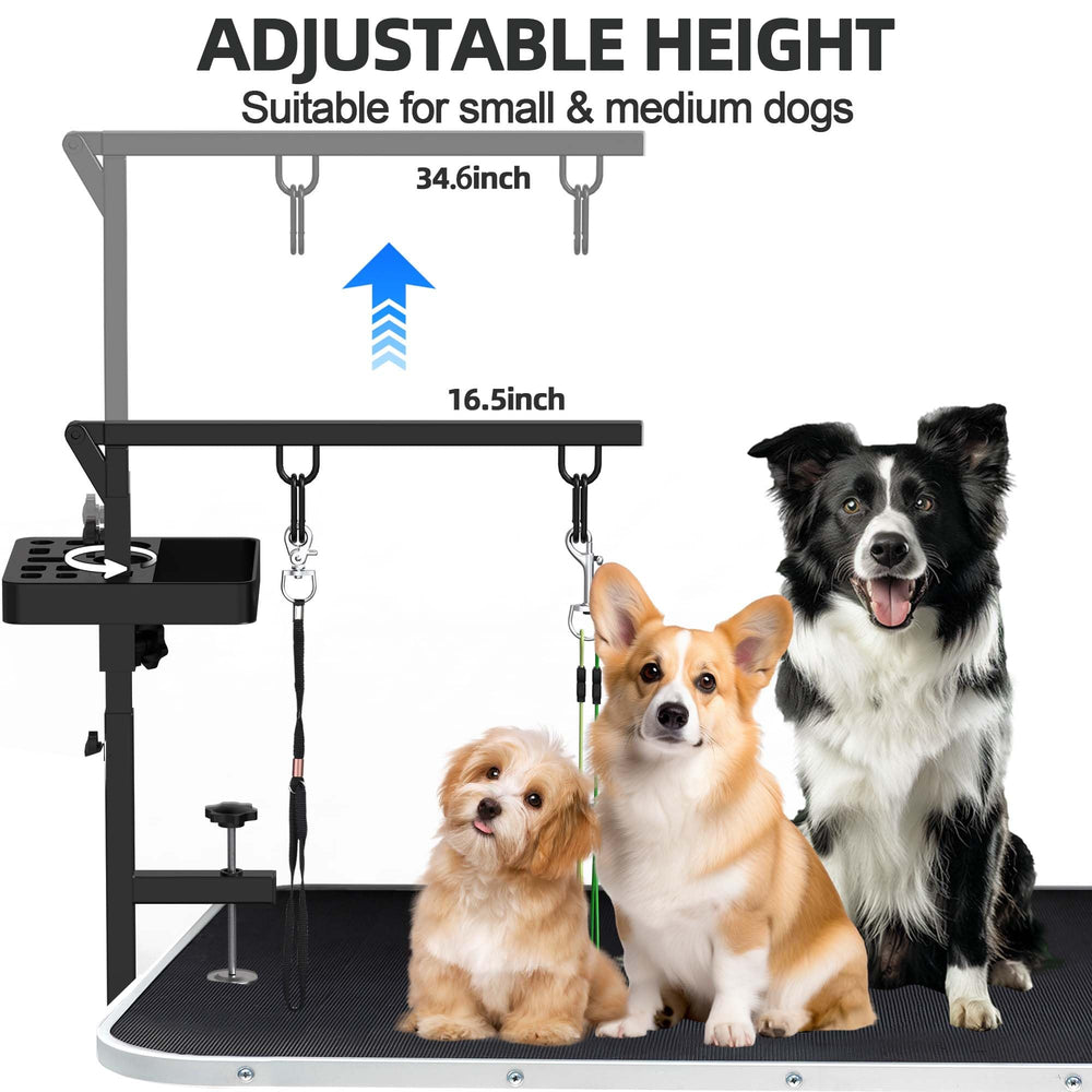 Noeuds réglables Alytree pour attacher le chien en sécurité.