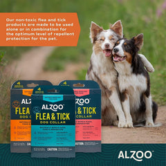 Huiles essentielles de cèdre et menthe, collier ALZOO pour chien