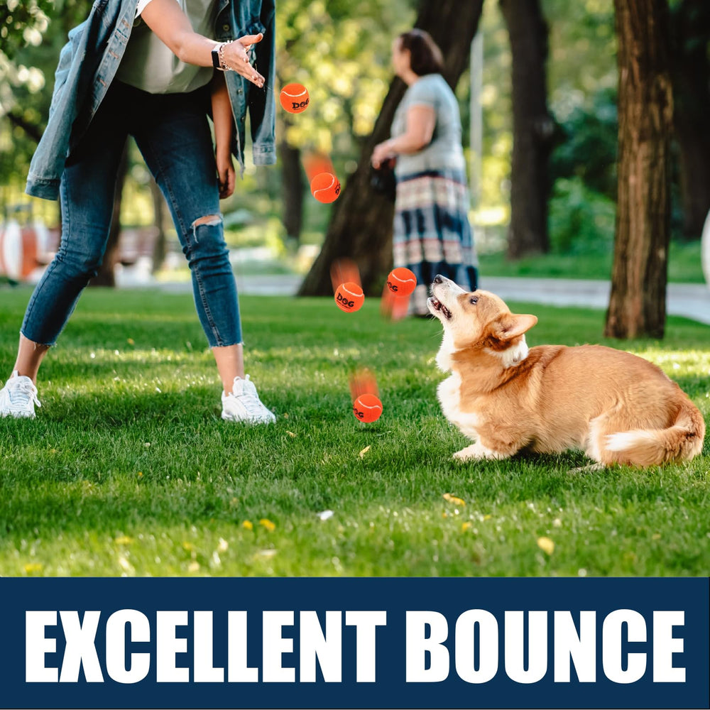 AMA SPORT balle-tennis-chien-entraînement-simple et durable en extérieur