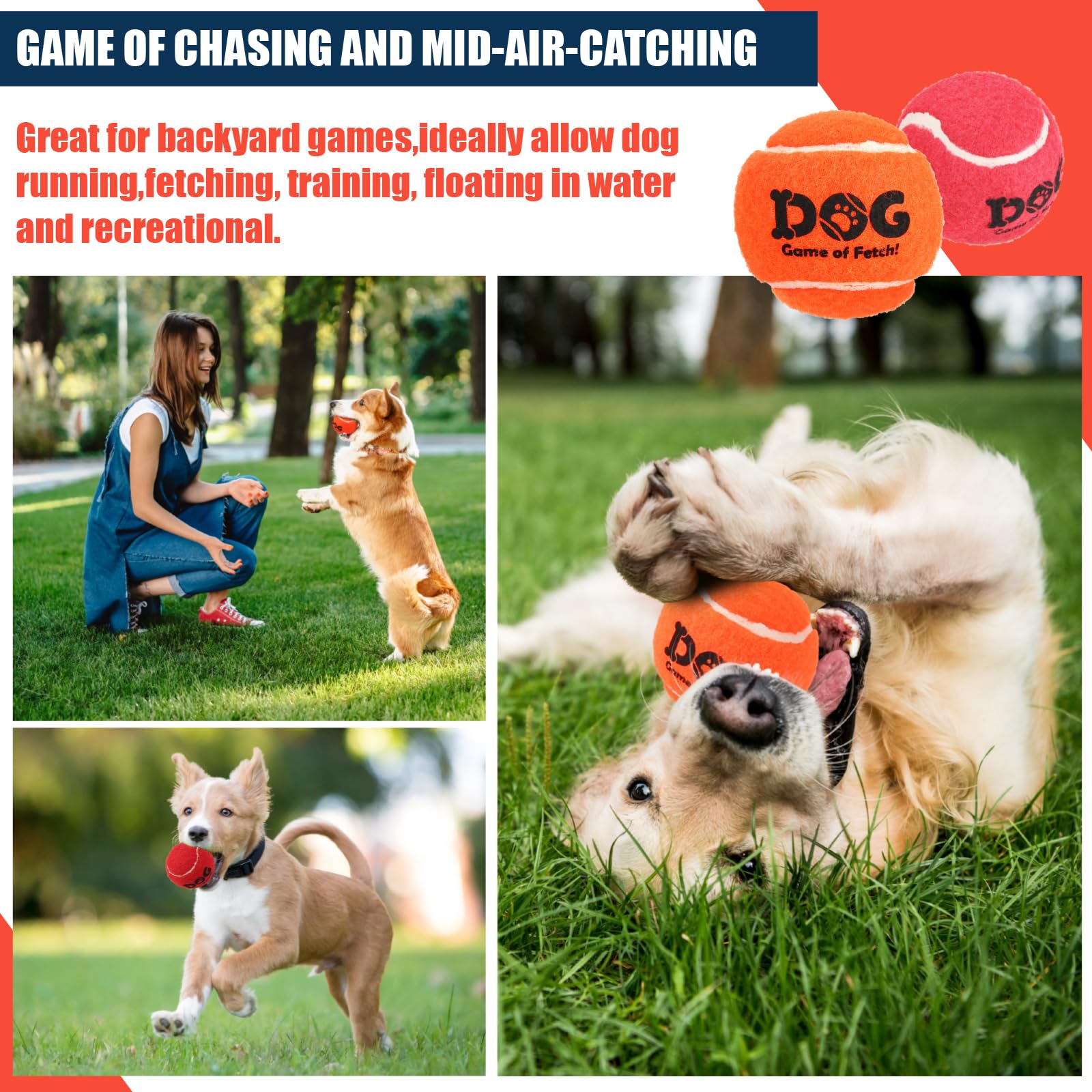 AMA SPORT balles-tennis-chien-exterieur pour jeux quotidiens et plein air