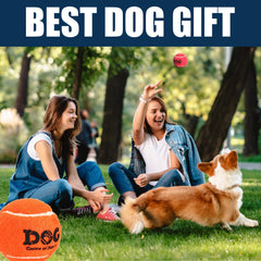 AMA SPORT balle-tennis-chien-rebond-optimal pour course et capture